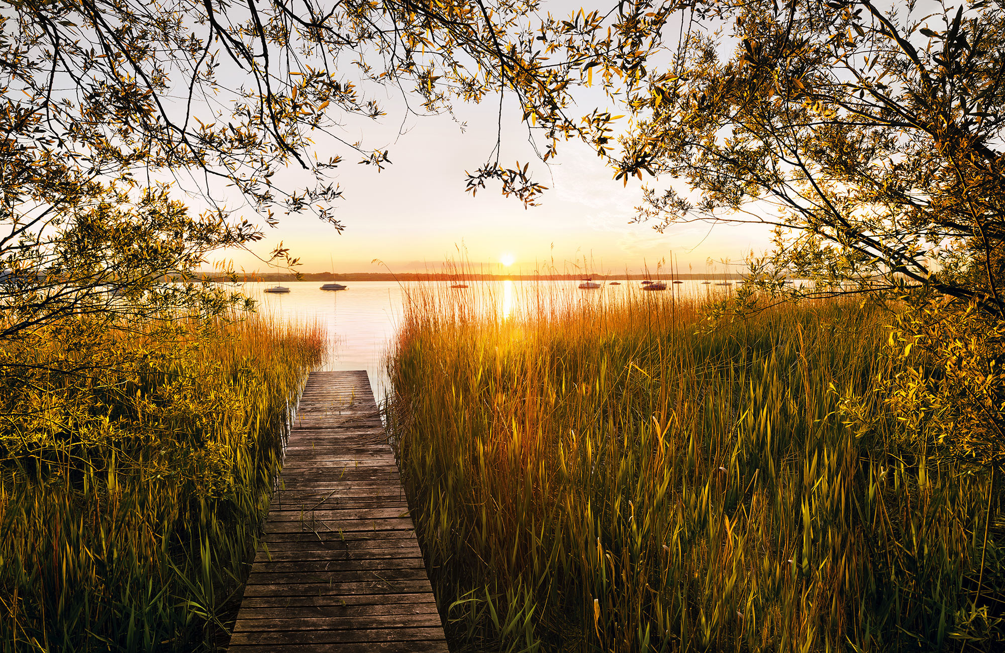 Lakeside