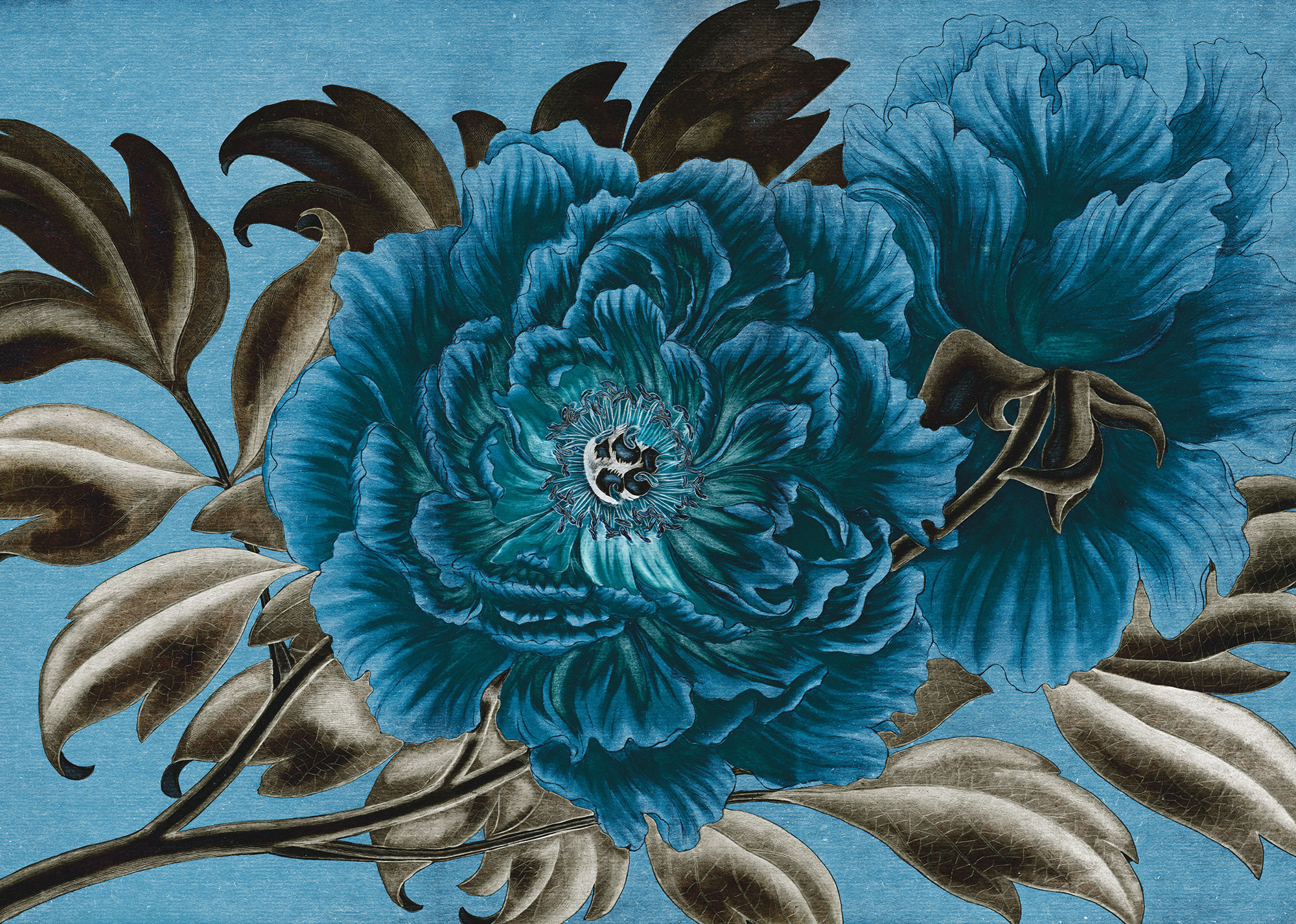 Royal Peony