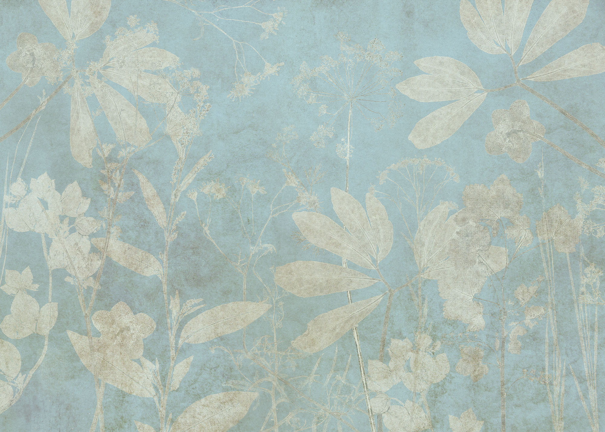 Jardins sur Papier