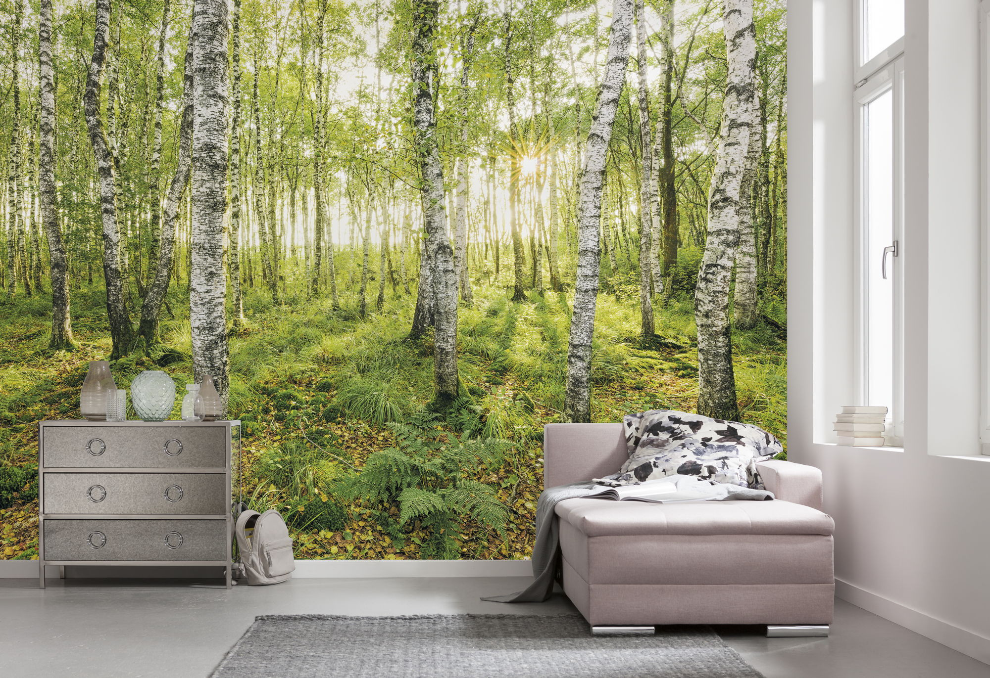 Birch Trees