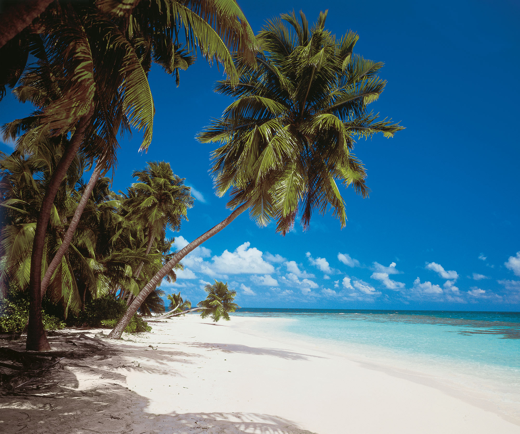 Maldives