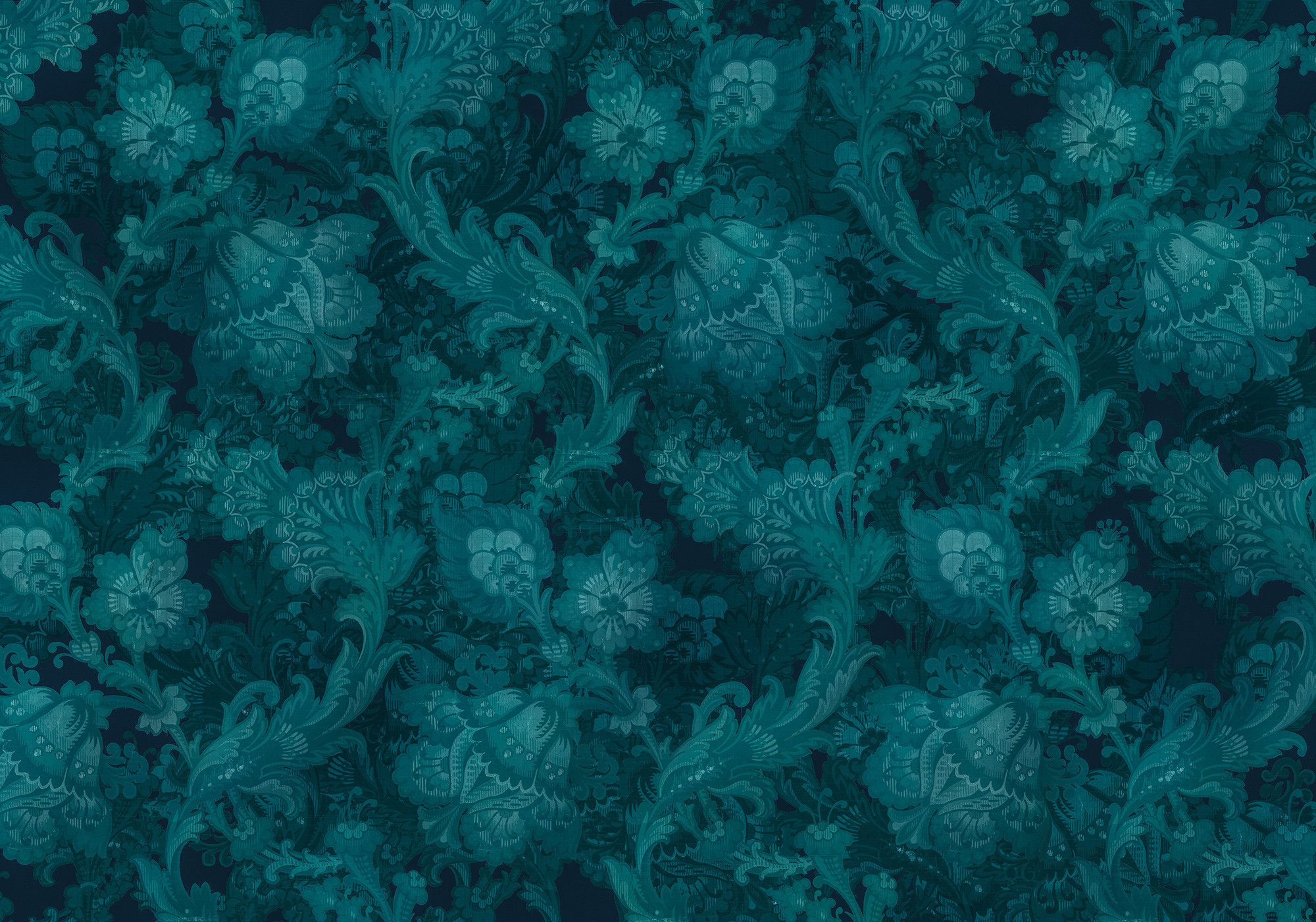 Fleurs de Nuit