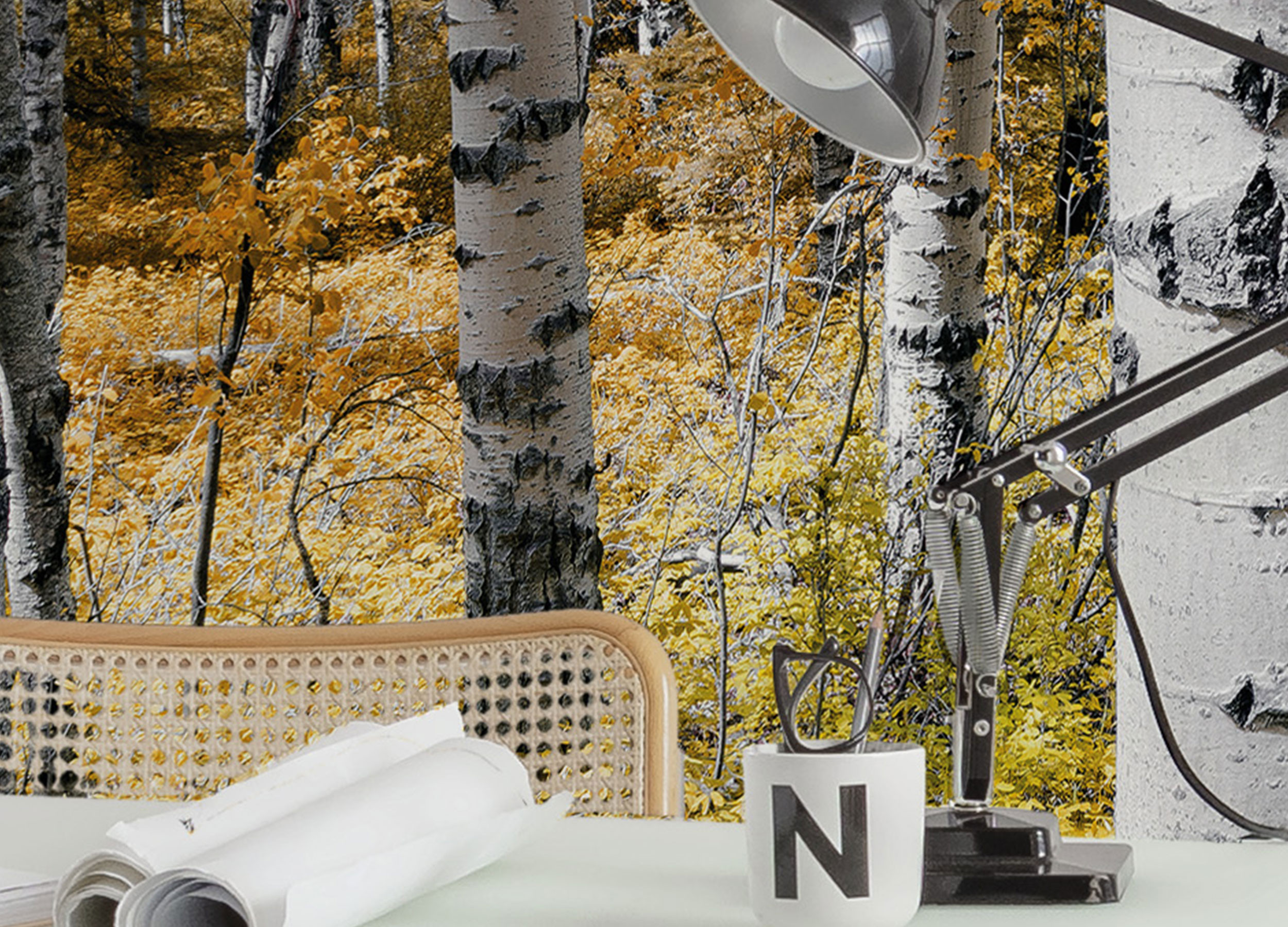 Colorful Aspenwoods