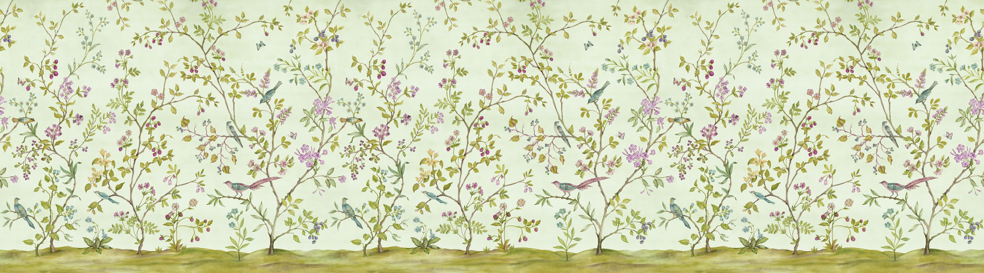 Oiseaux du Paradis
