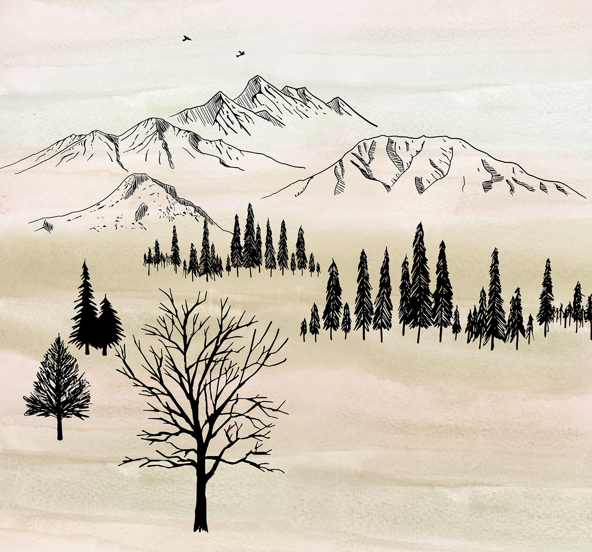 Backcountry