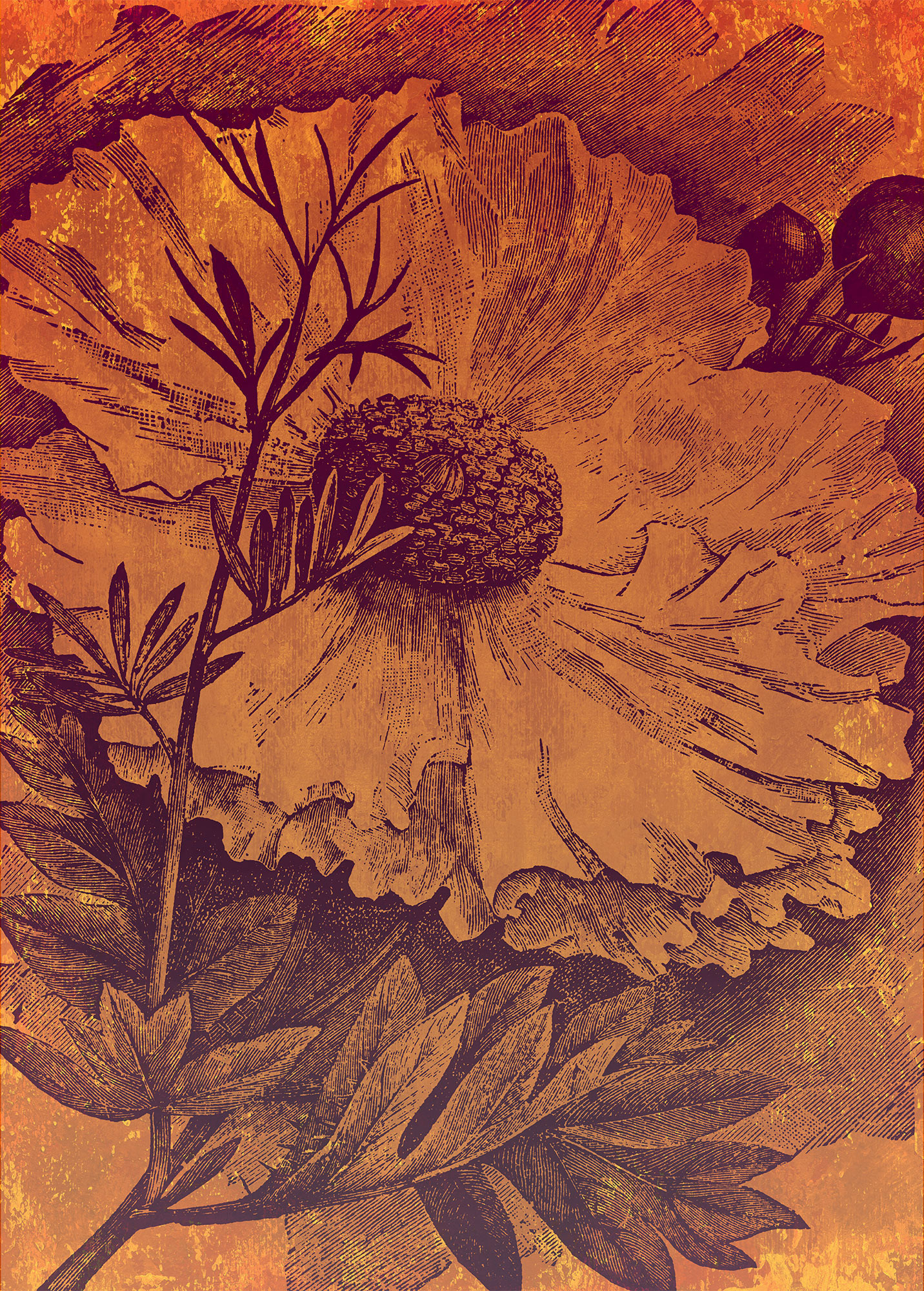 Harvest
