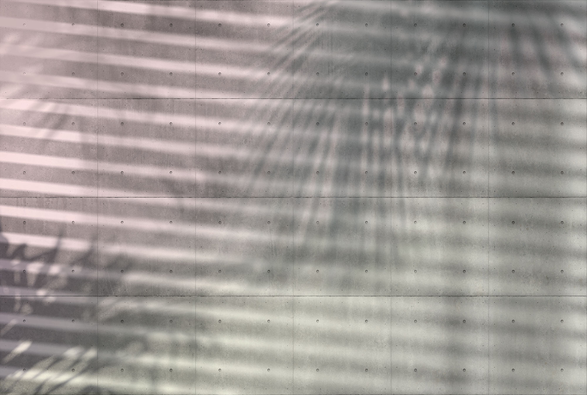 Shadows