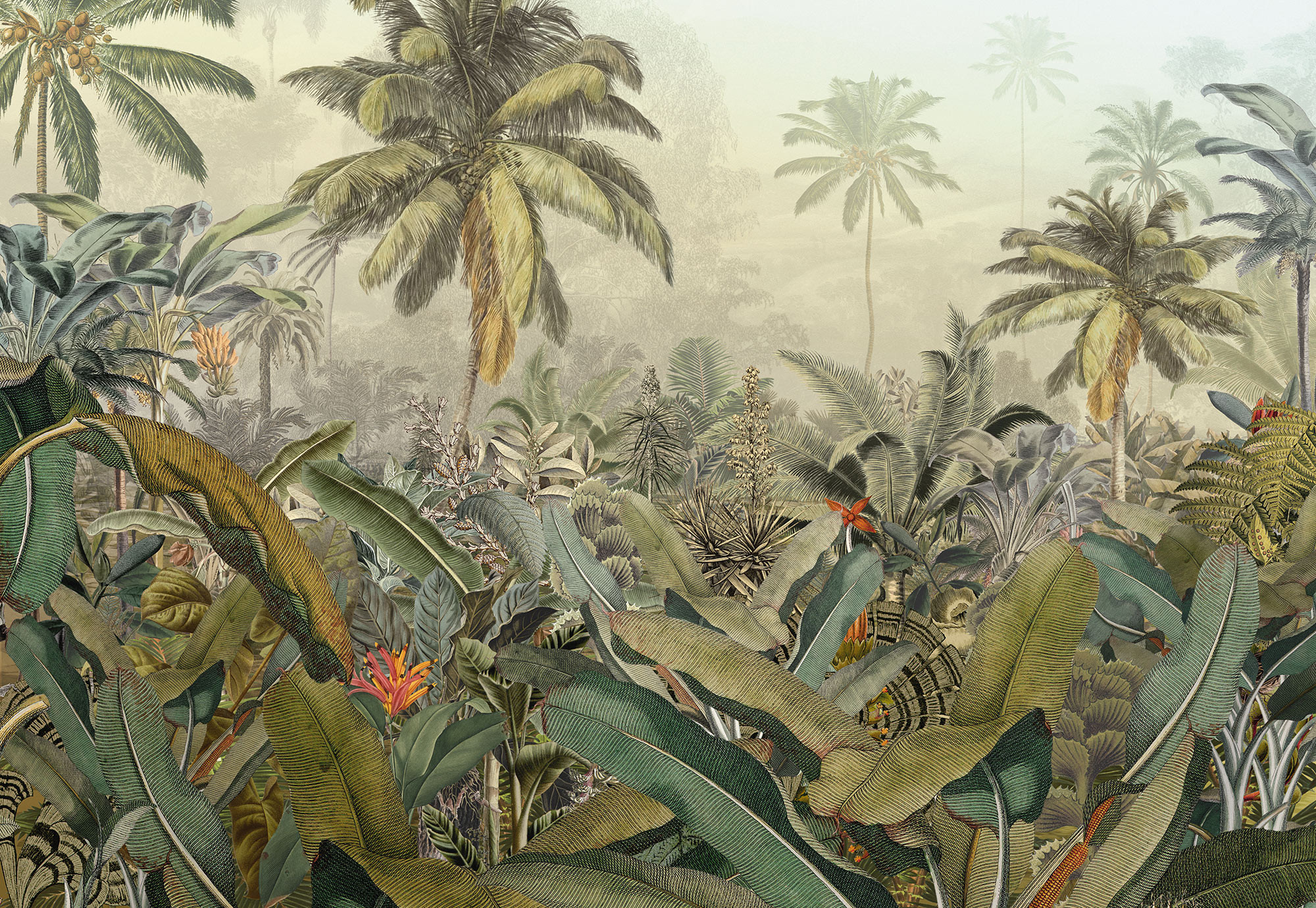 Amazonia