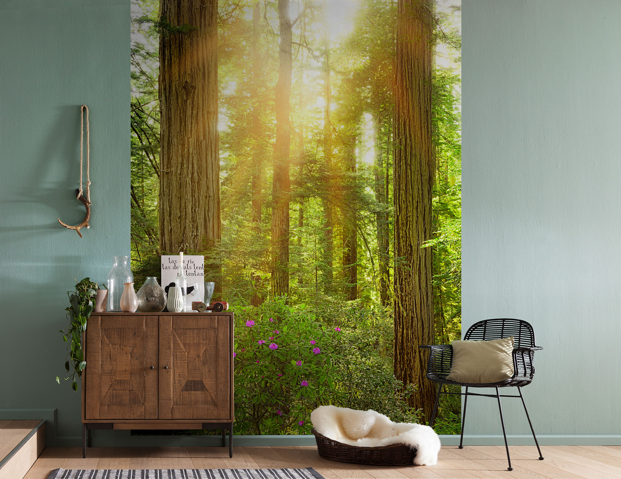 Redwood