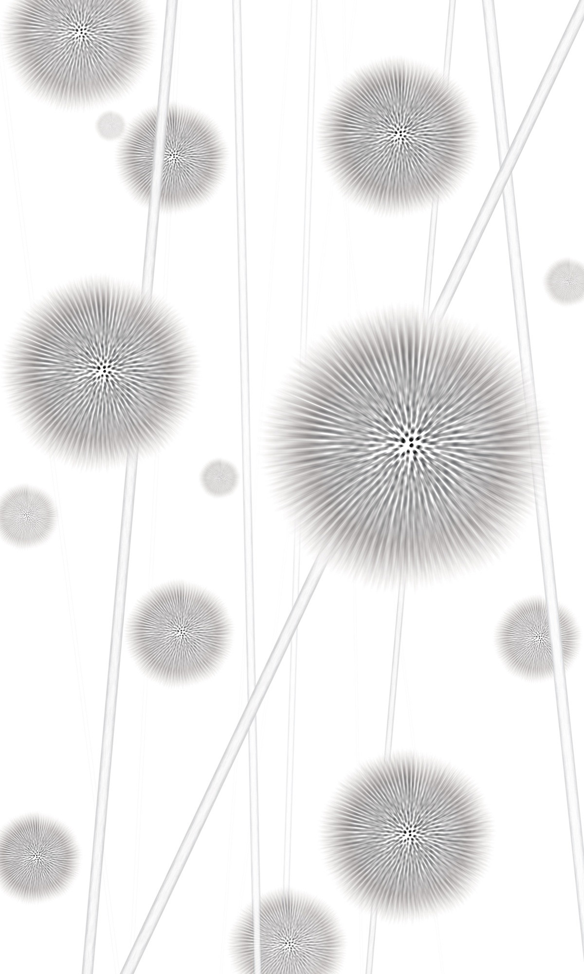 Allium