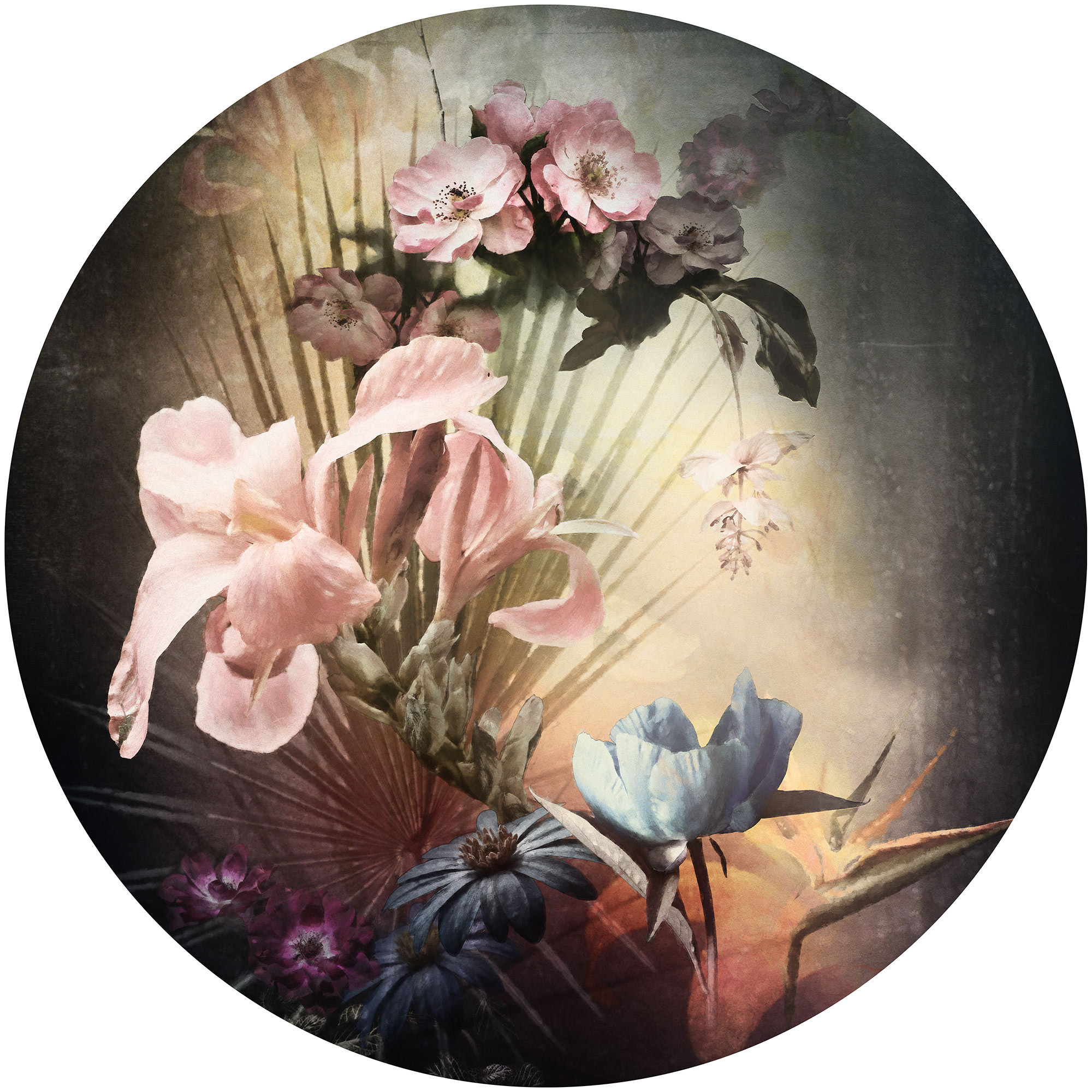 Flemish Flowers