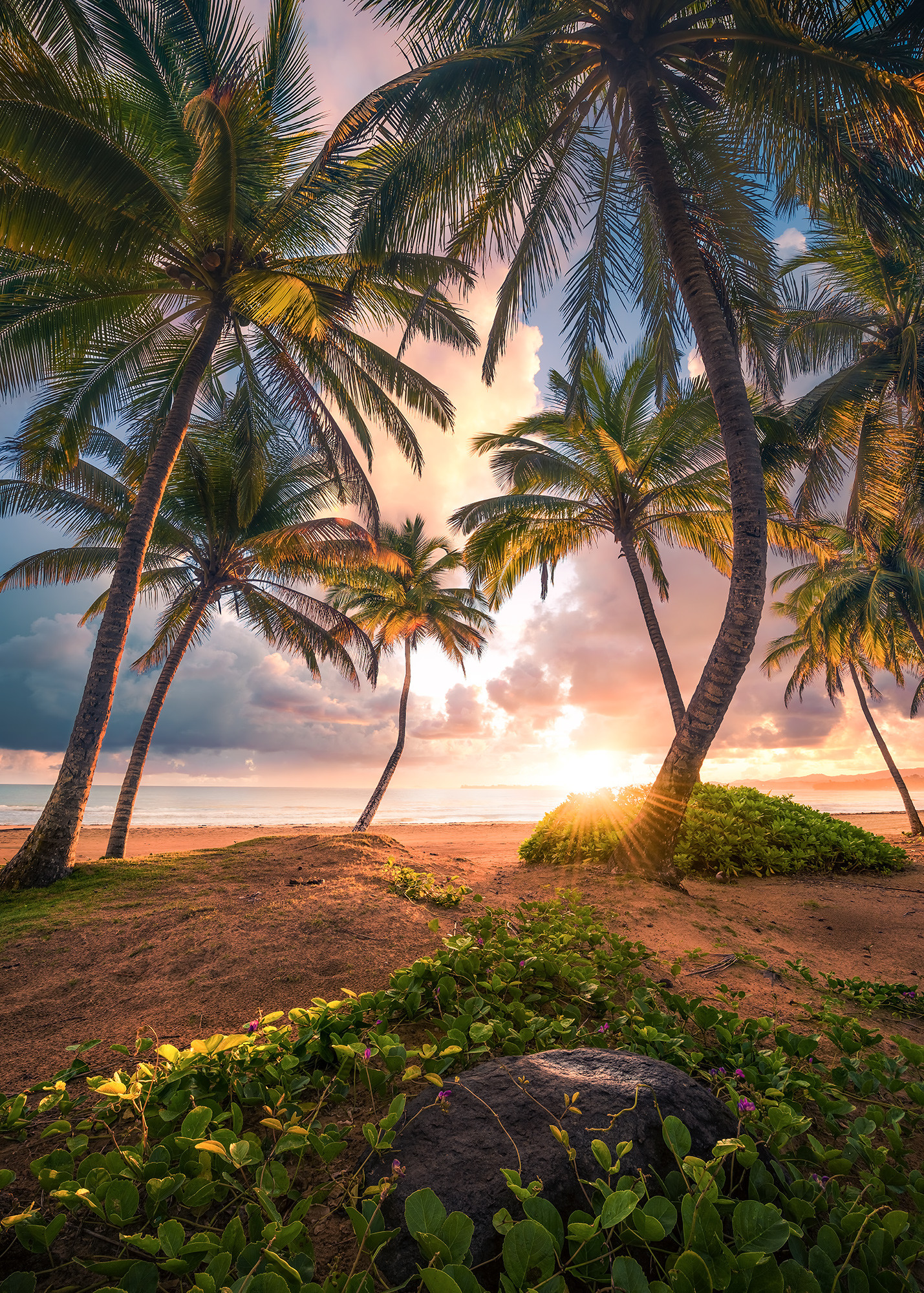 Vertical Paradise