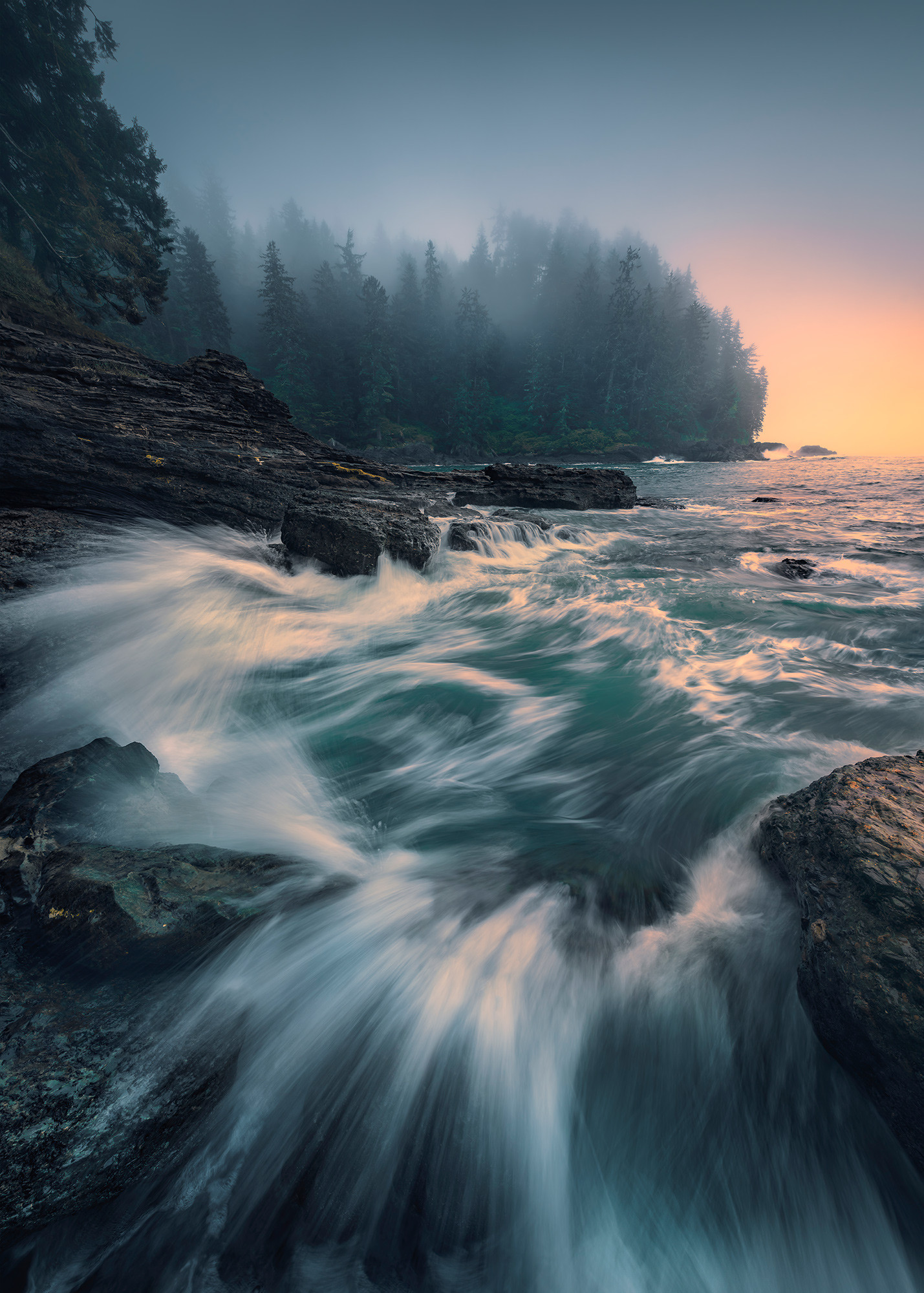 Cry of the Sea
