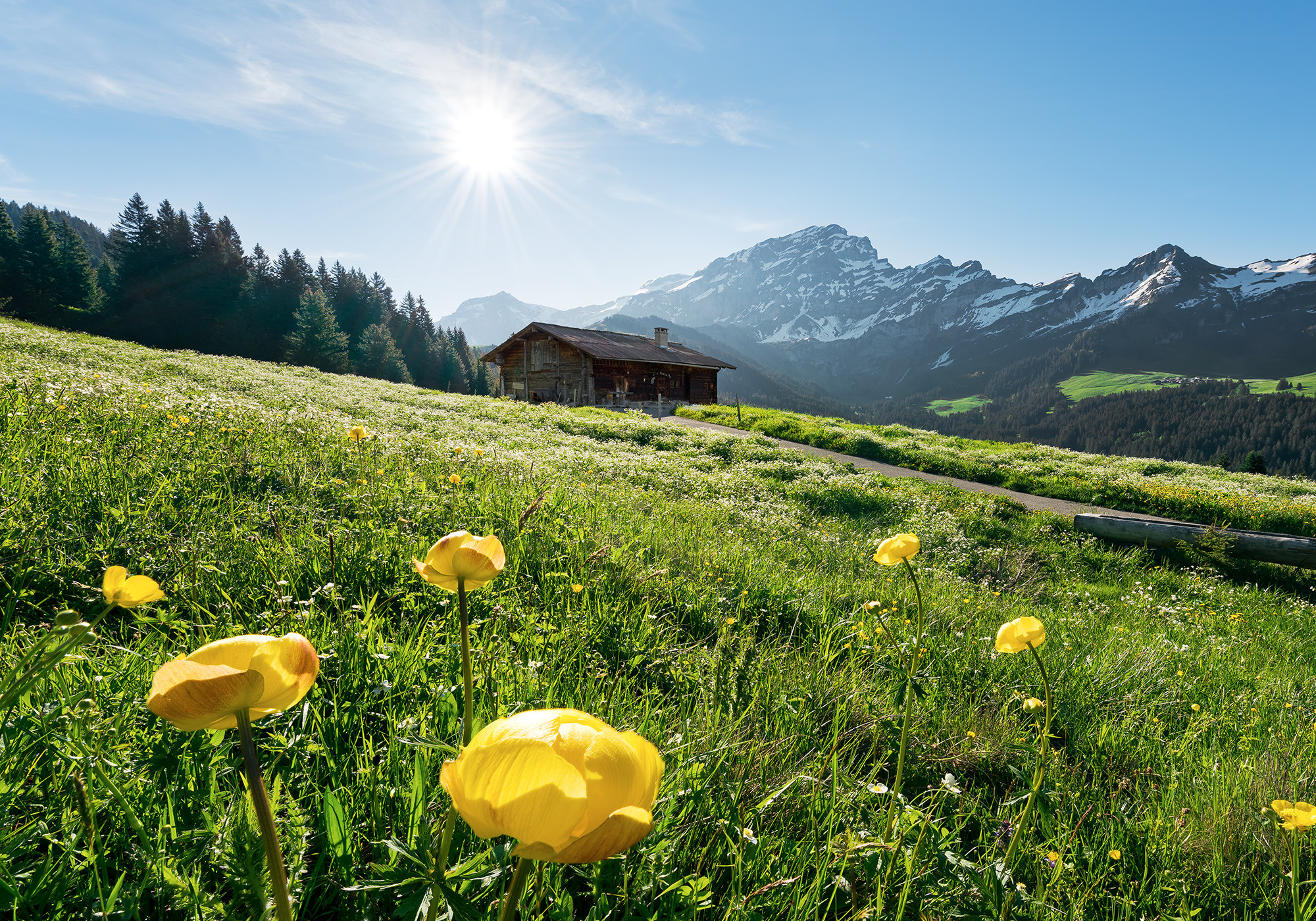 Alpenglück