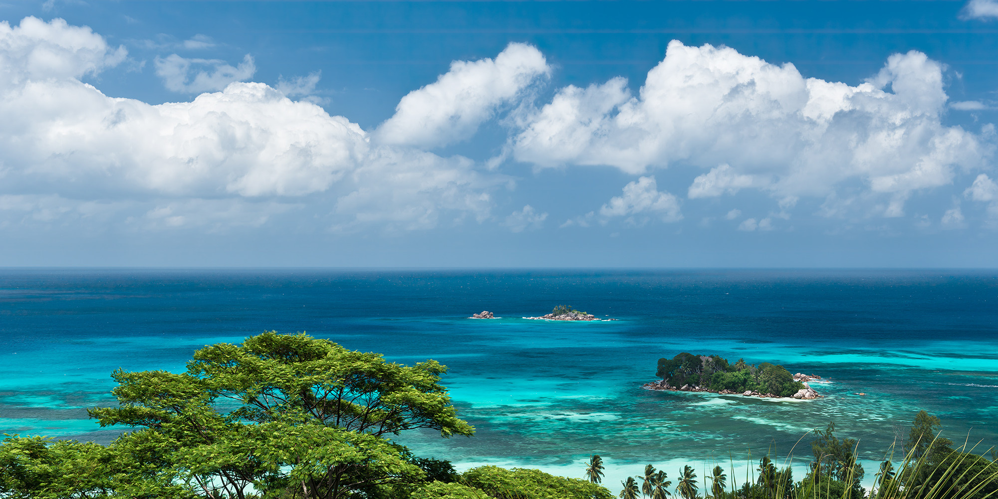 The Sea View