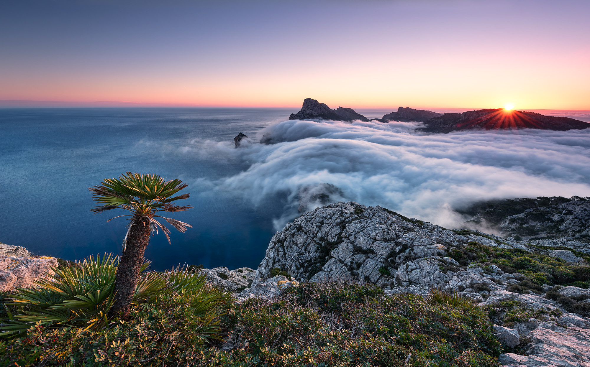 Island Paradise