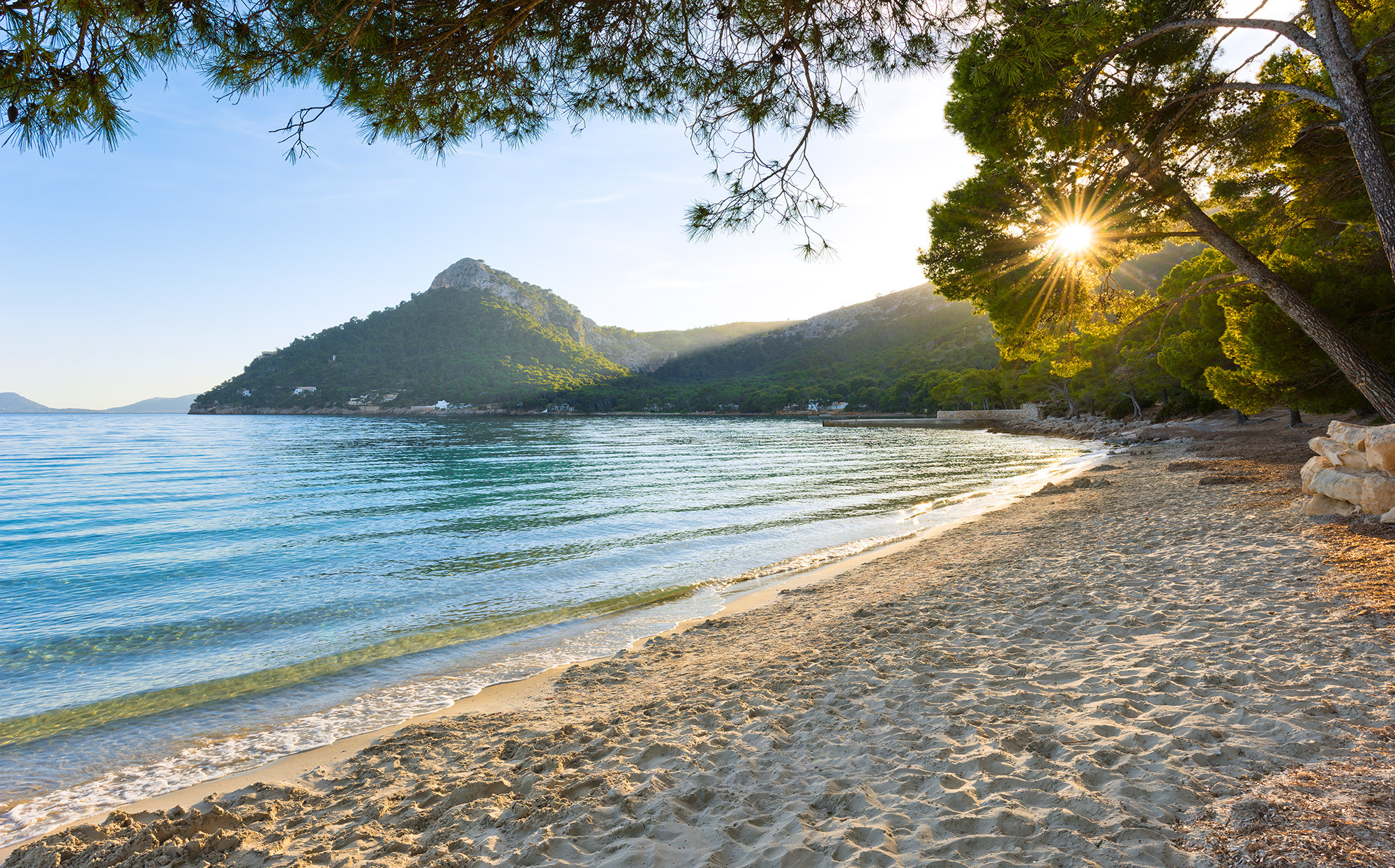 Lonely Paradise