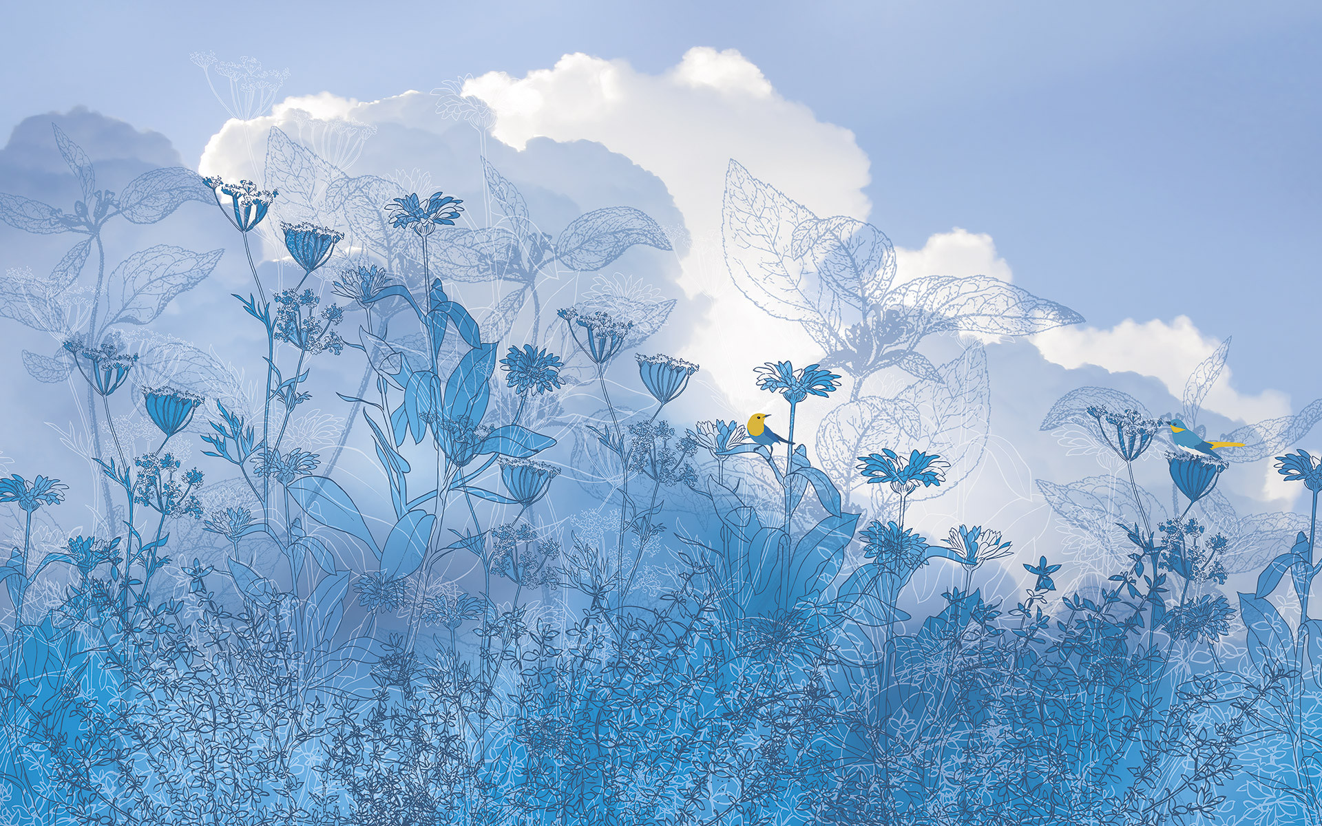 Blue Sky II