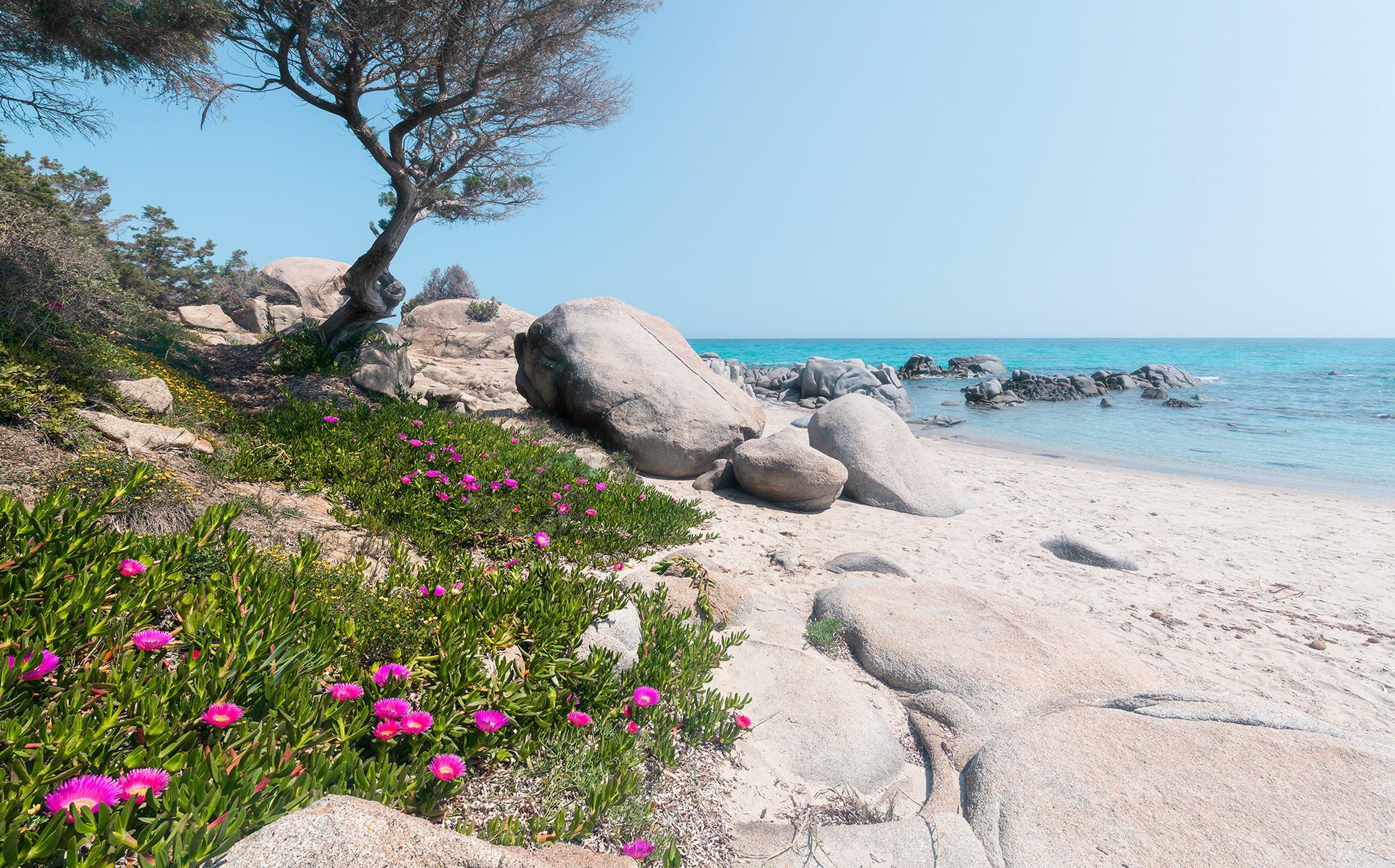 Mediterrane Träume