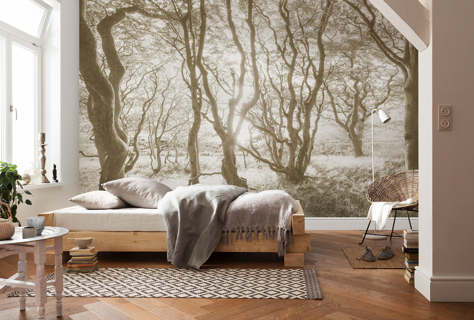 Bleached Birch