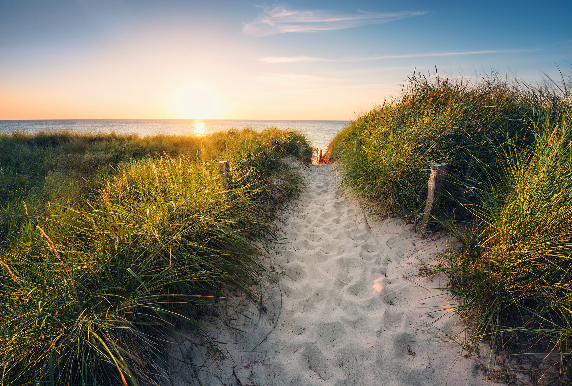 Way to the Beach