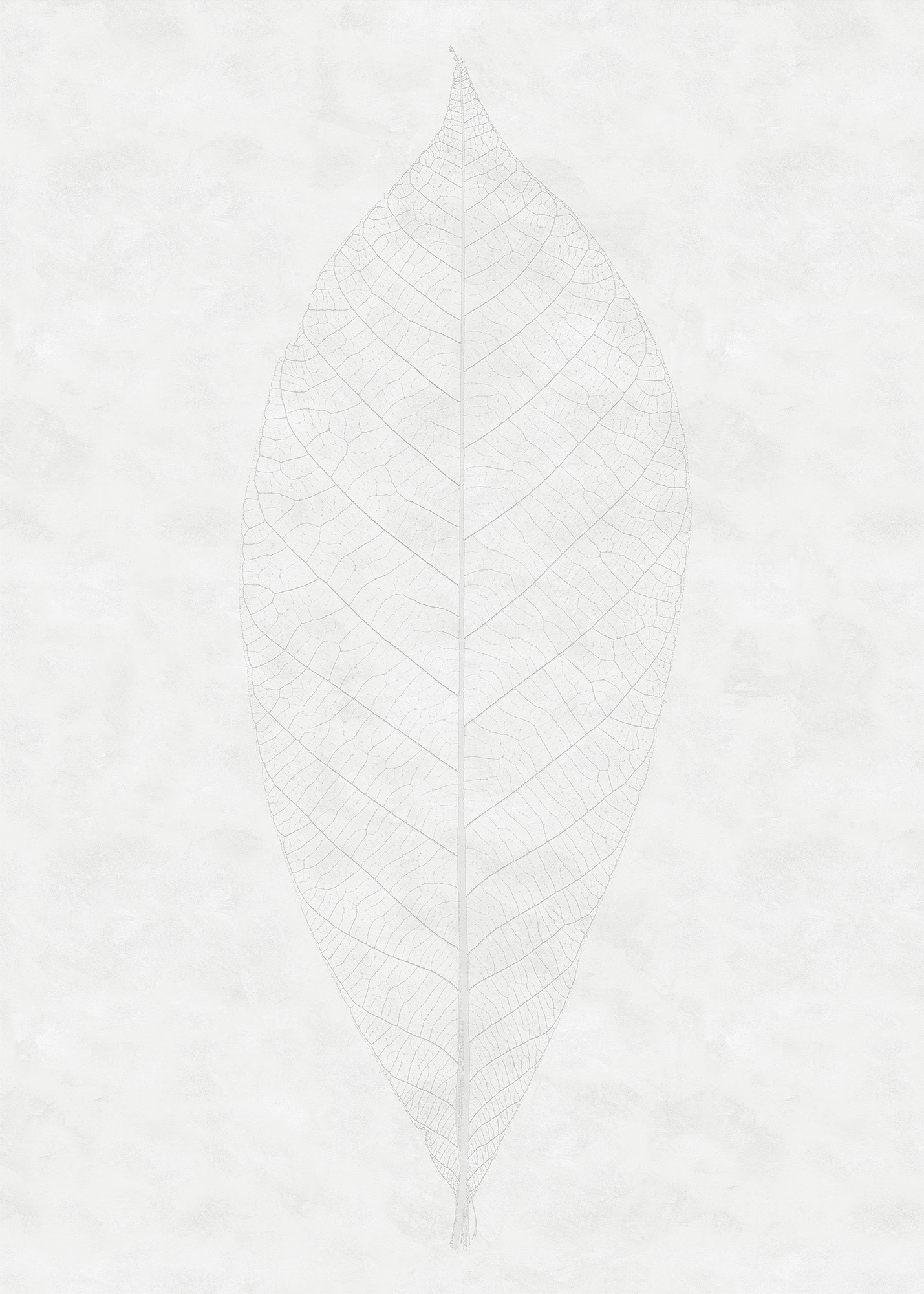 Decent Leaf
