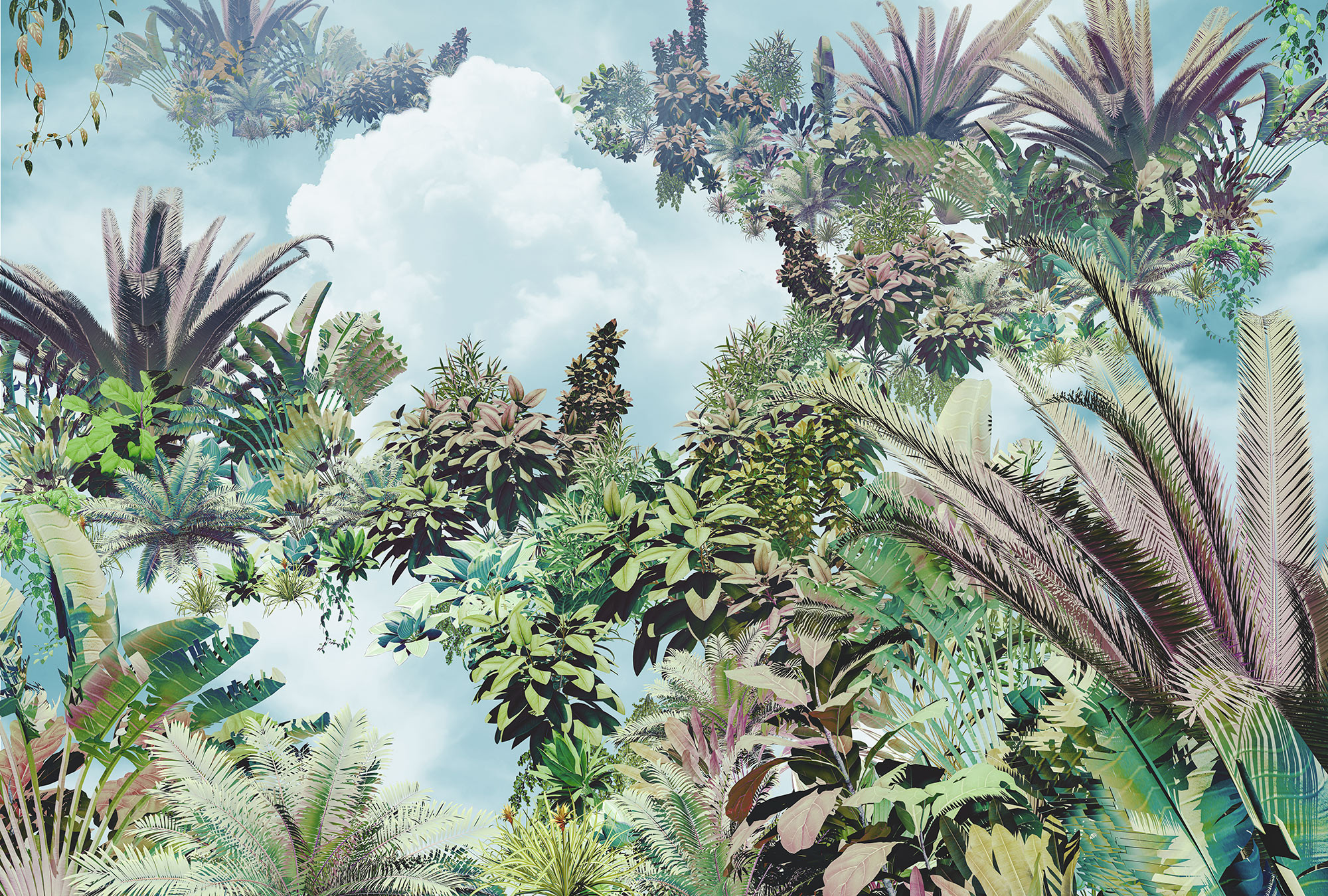 Tropical Heaven