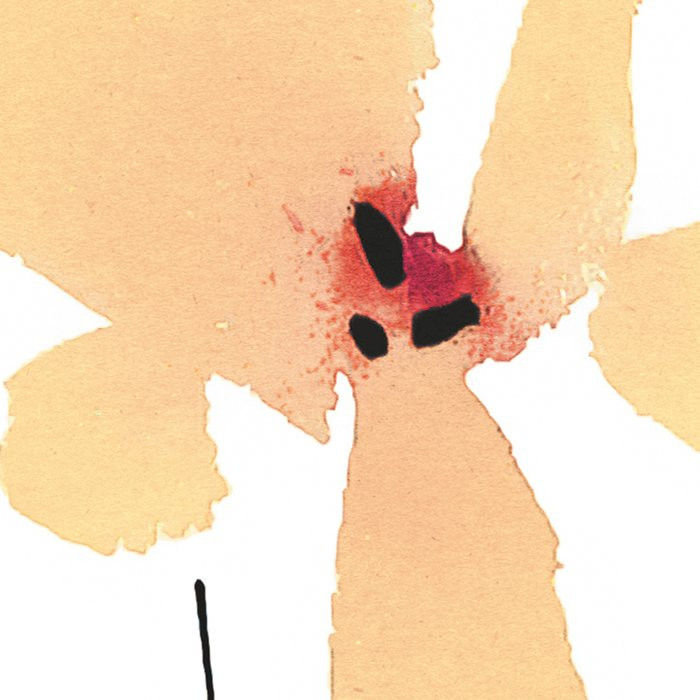 Magie des Fleurs