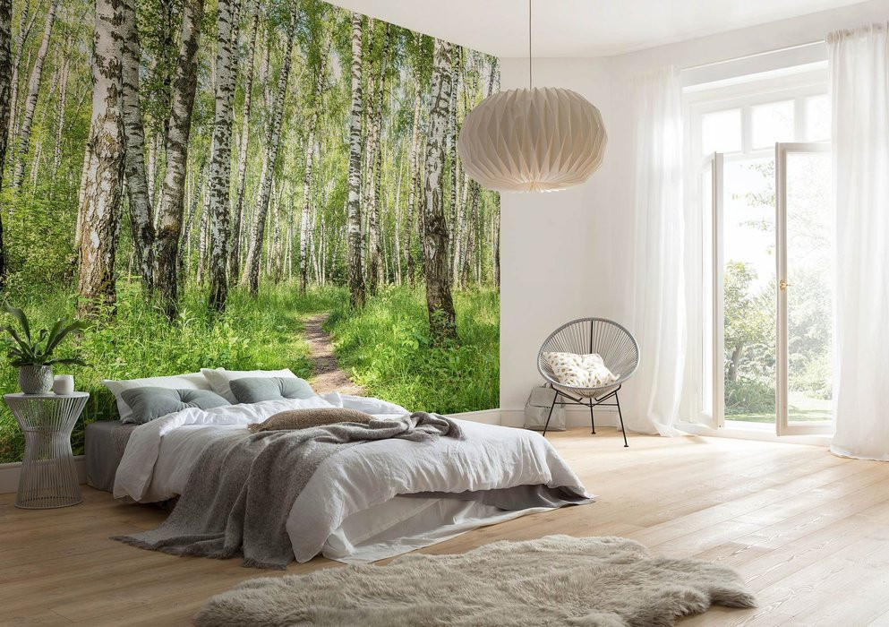 Forêt de Bouleaux
