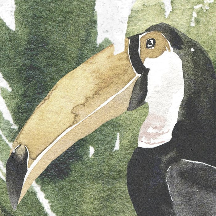 Oiseaux de Malibu