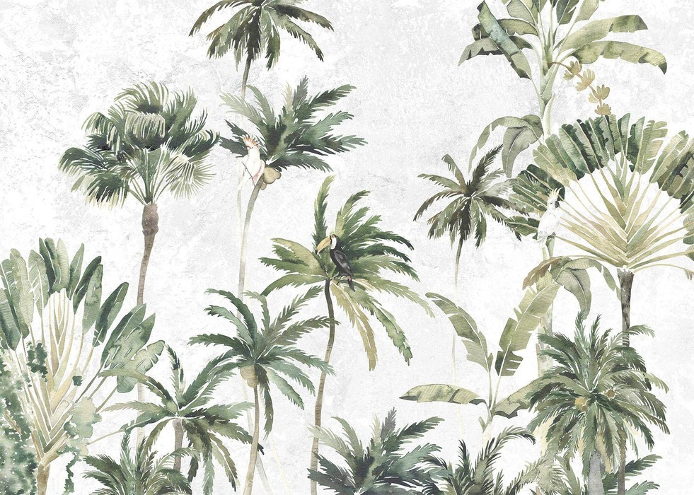 Oiseaux de Malibu
