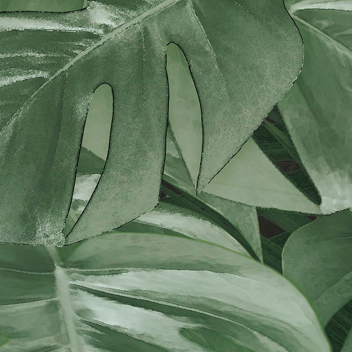 Novel Monstera