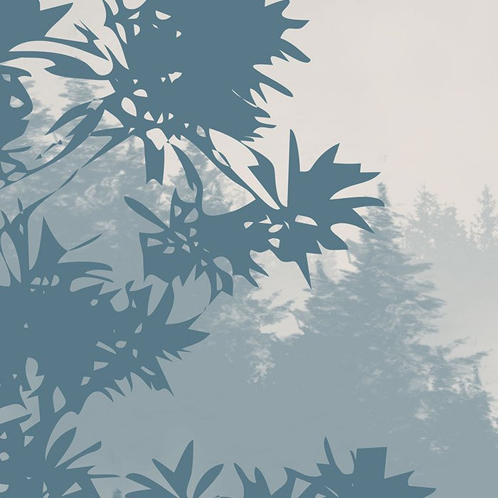 Blue Valley