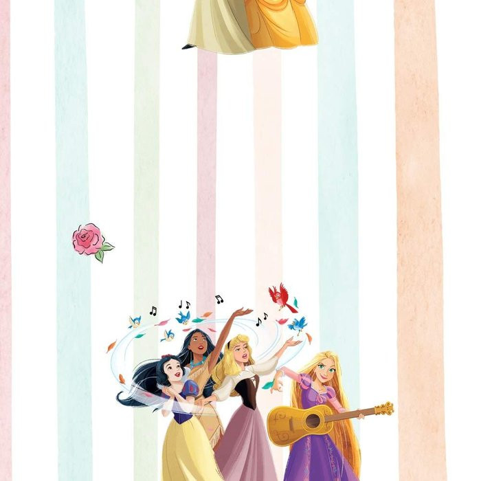 Disney Princesses Charmix