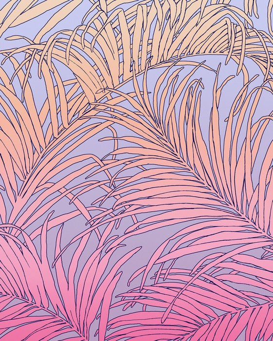 Palm Foglie