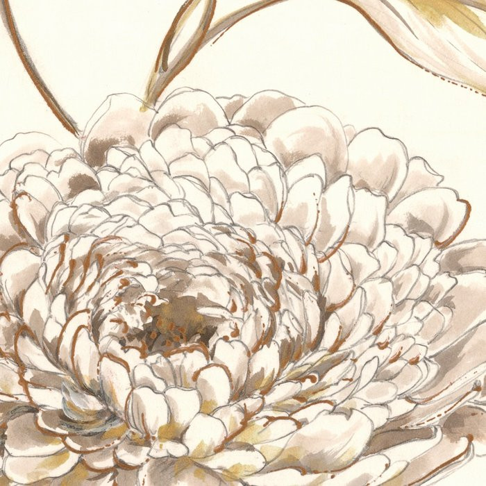 Emergence