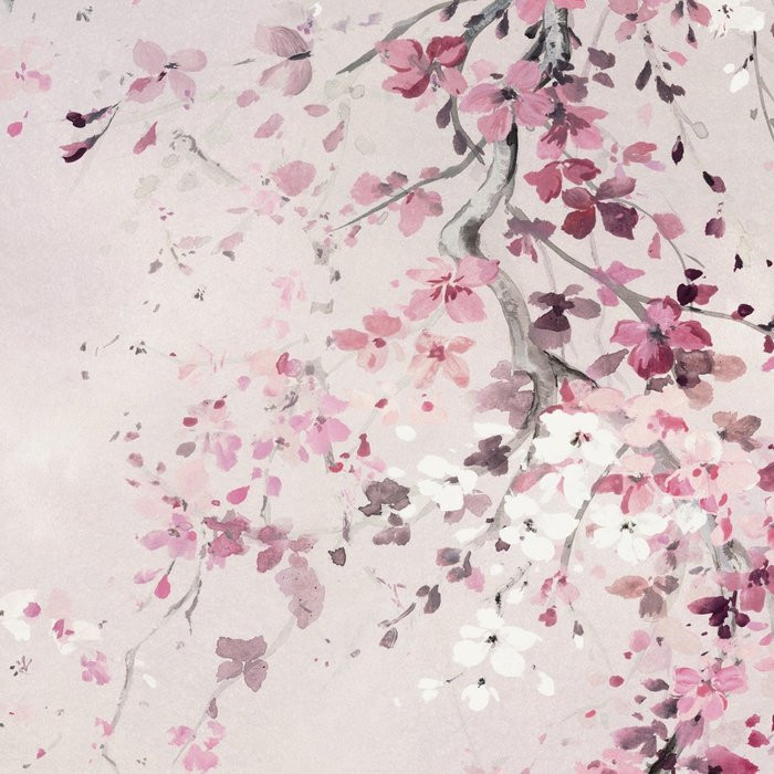 Kirschblüte