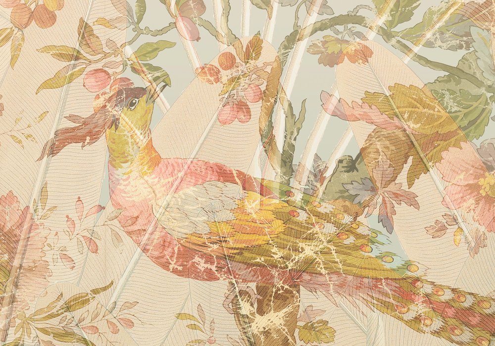 Oiseau de Paradis