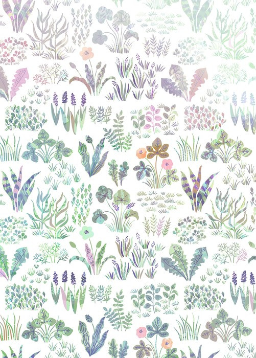 Flower Farm