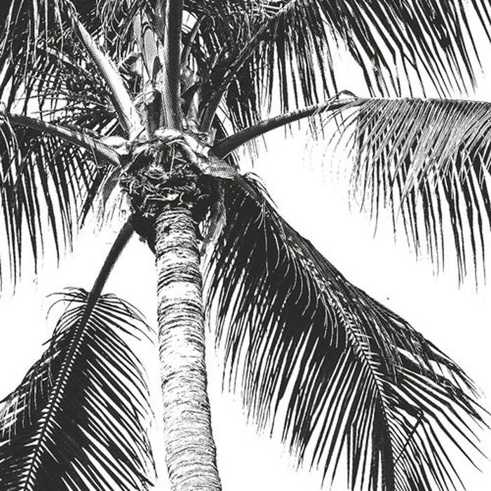 Retro Palm