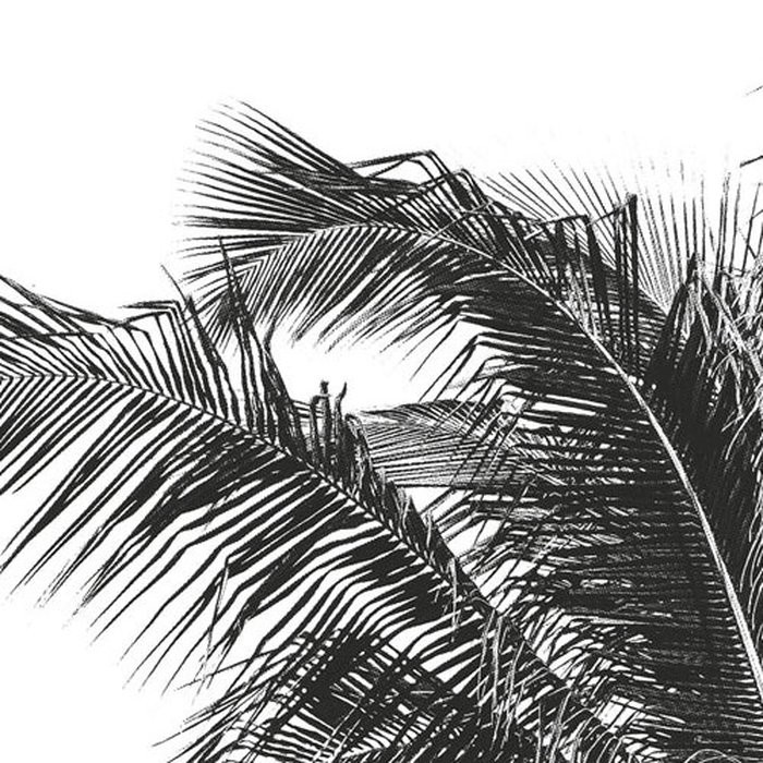 Retro Palm