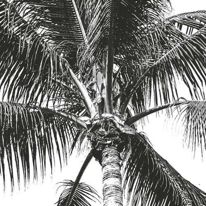Retro Palm