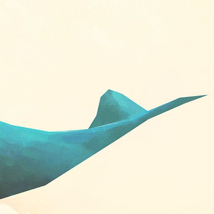 Whale Voyage