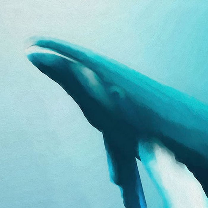 Artsy Humpback Whale