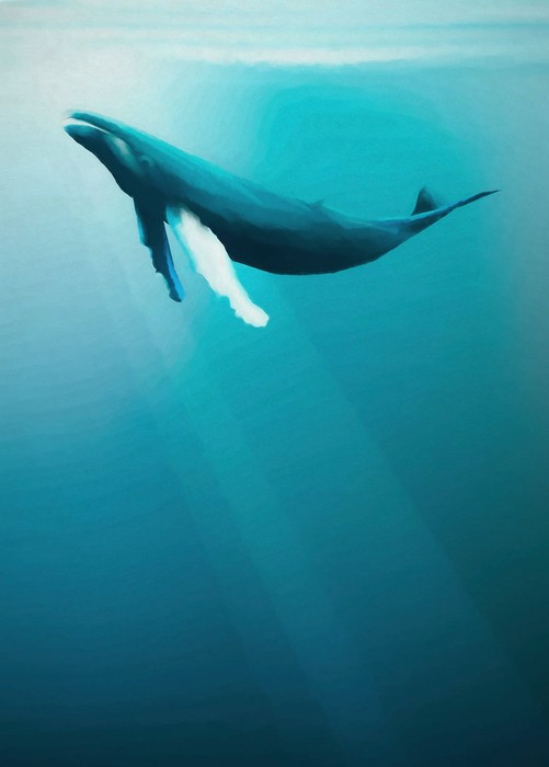 Artsy Humpback Whale
