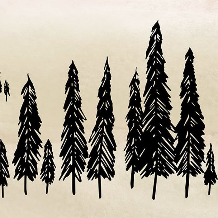 Backcountry