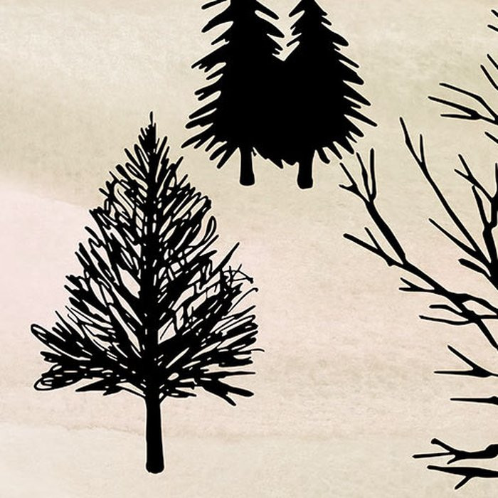 Backcountry