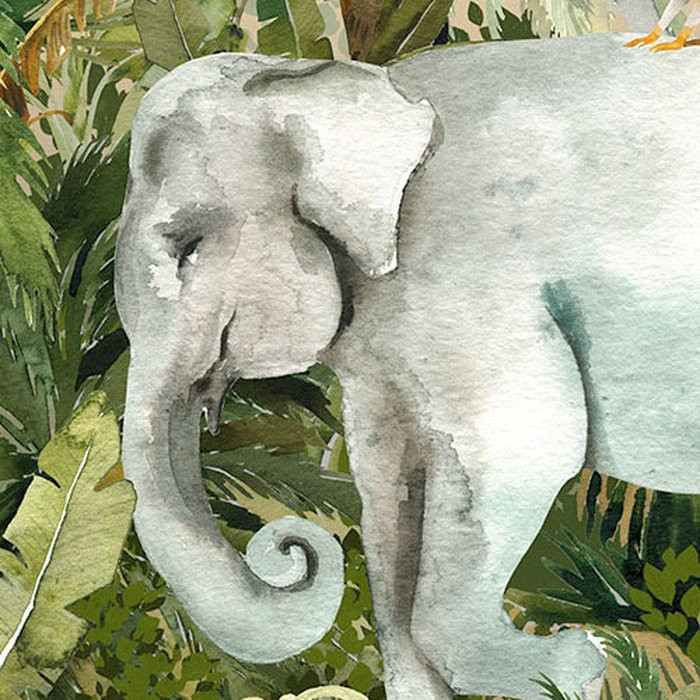 Jungle Expedition