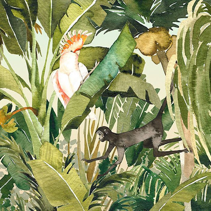 Jungle Expedition