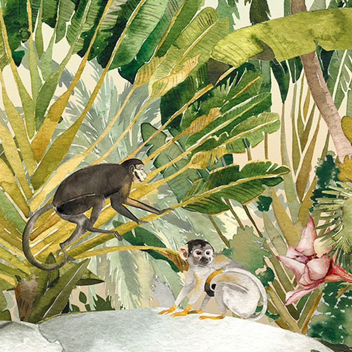 Jungle Expedition